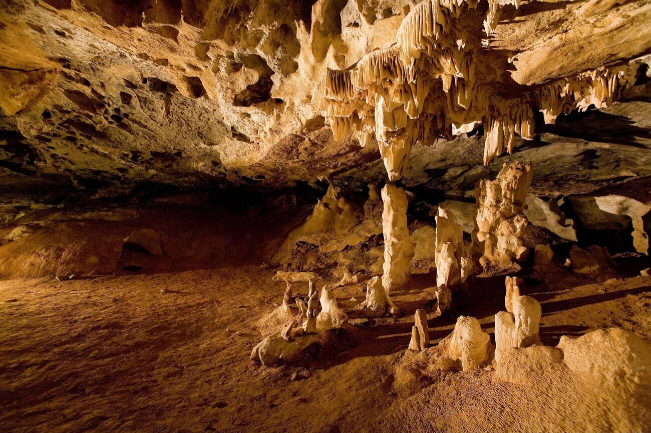Admire the Beauty of Al Hoota Cave