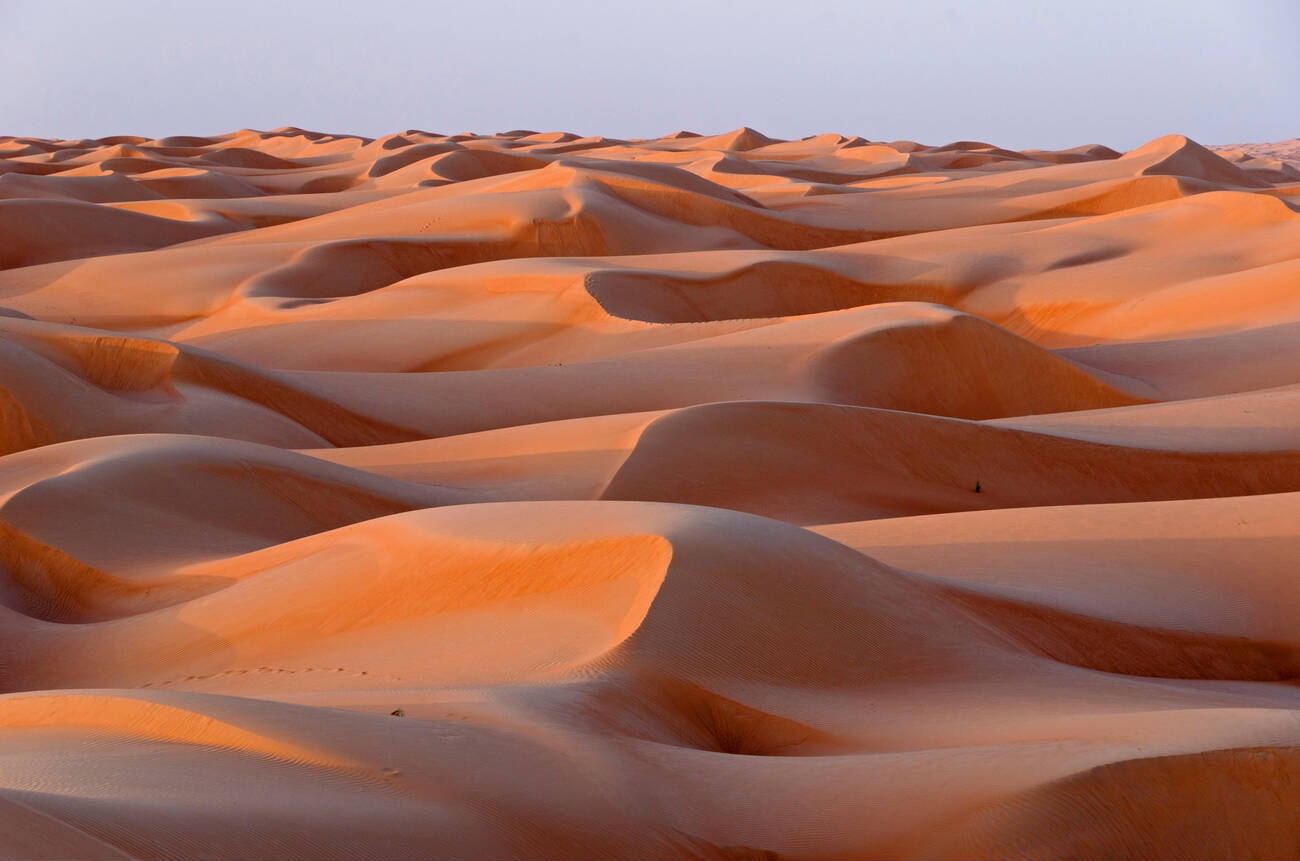 The sand dunes of the Wahiba Sands desert, also known as Ramlat al-Wahiba or Sharqiya Sands