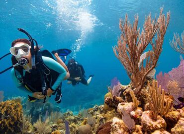 Musandam Scuba Diving