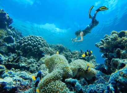 Tips for Snorkeling in Musandam