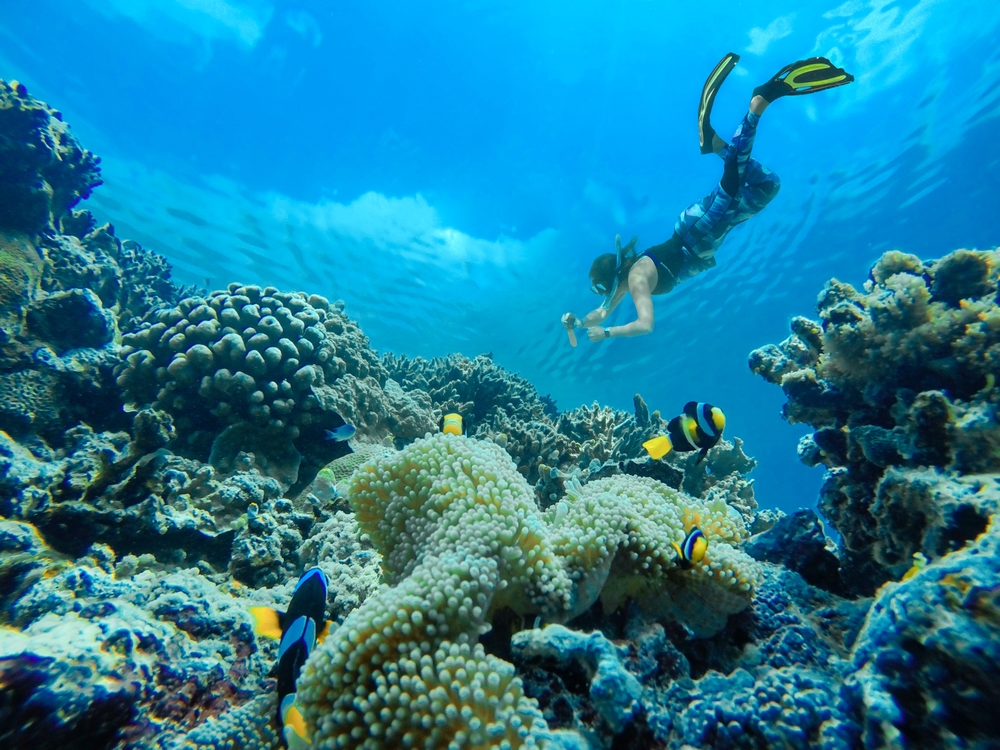 Tips for Snorkeling in Musandam