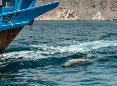 Is Musandam in Oman or UAE?